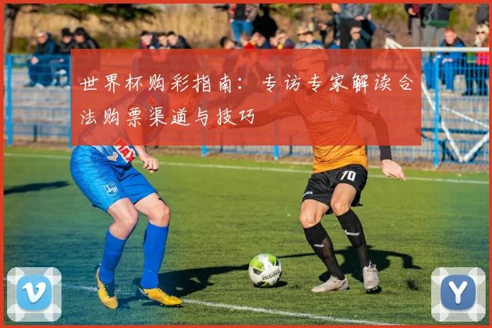 世界杯购彩指南：专访专家解读合法购票渠道与技巧